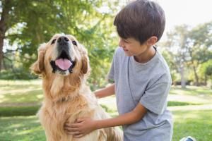 Zu sehen ist Bild 5 zum Beitrag mit dem Thema Welches Haustier für Kinder passt perfekt zu Ihrem Kind